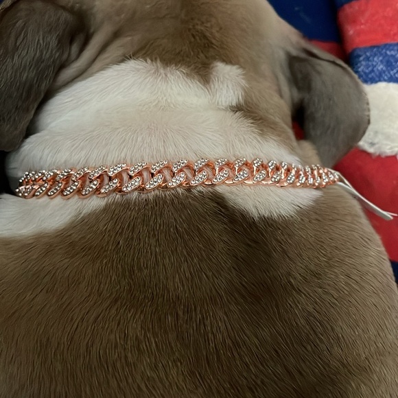 Bling 💎 Collar - Picture 6 of 6